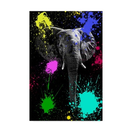 Philippe Hugonnard 'Elephant V' Canvas Art,30x47